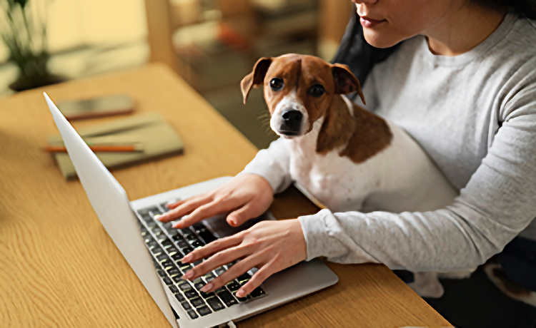 illustratie vrouw met hond achter laptop