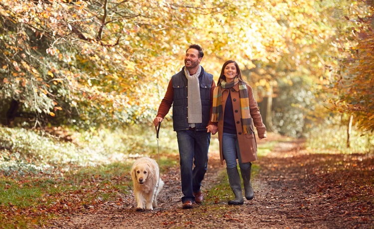 Illustratie man en vrouw wandelen met hond