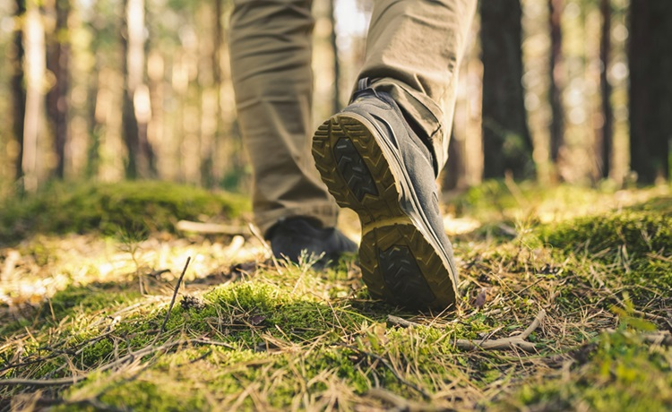 illustratie voeten in het bos lopen weg