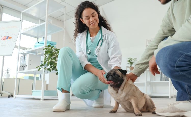 shutterstock-2562021263-750x460