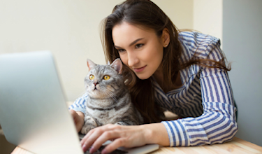 Illustratie dame met kat achter laptop