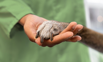 Ziek of arbeidsongeschikt